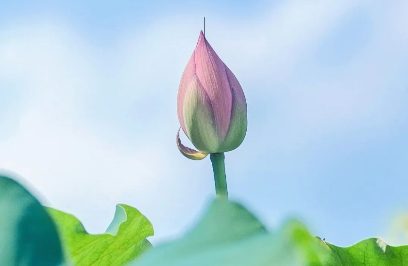 银星8月家书 | 流金溢彩，共赋新章